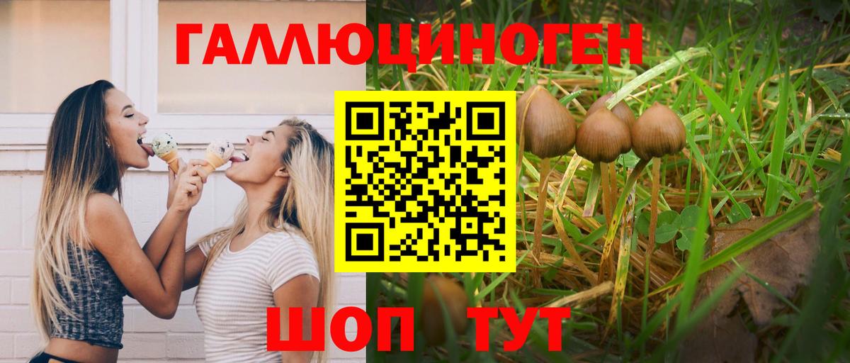 Галлюциногенные грибы MAGIC MUSHROOMS  Псилоцибиновые грибы Cubensis  Благовещенск  Вход с VPN 